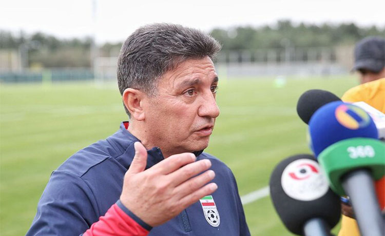 امیر قلعه‌نویی