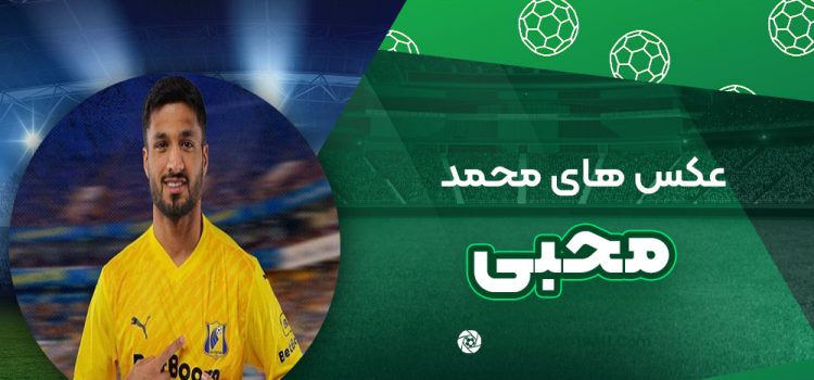 محمد محبی