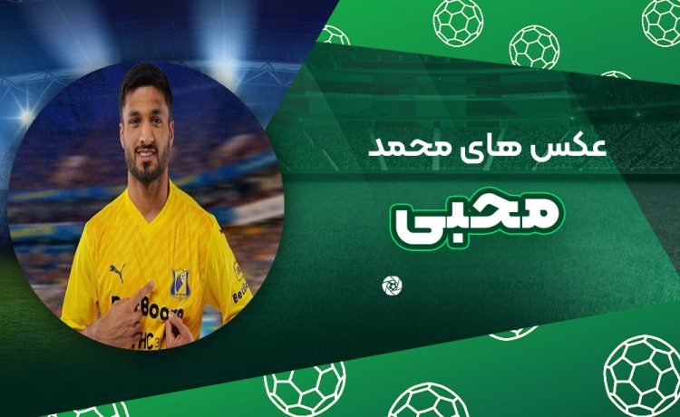 محمد محبی