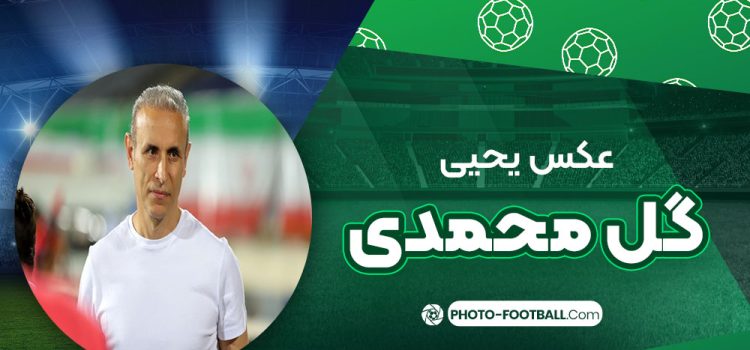یحیی گل محمدی