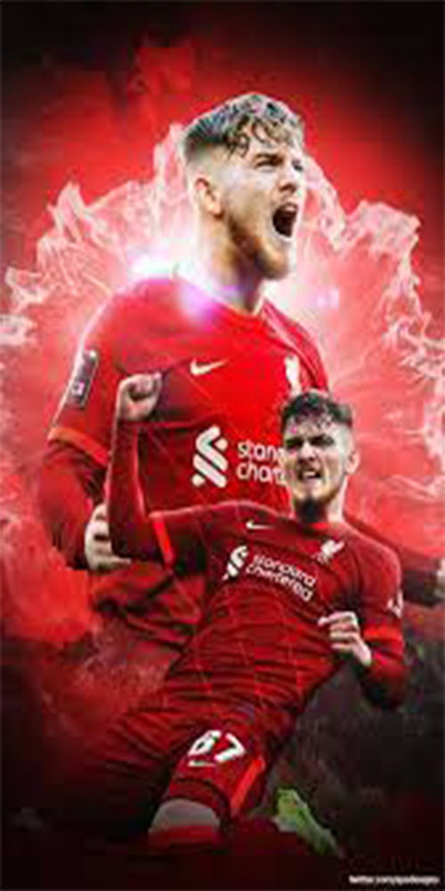wallpaper He19