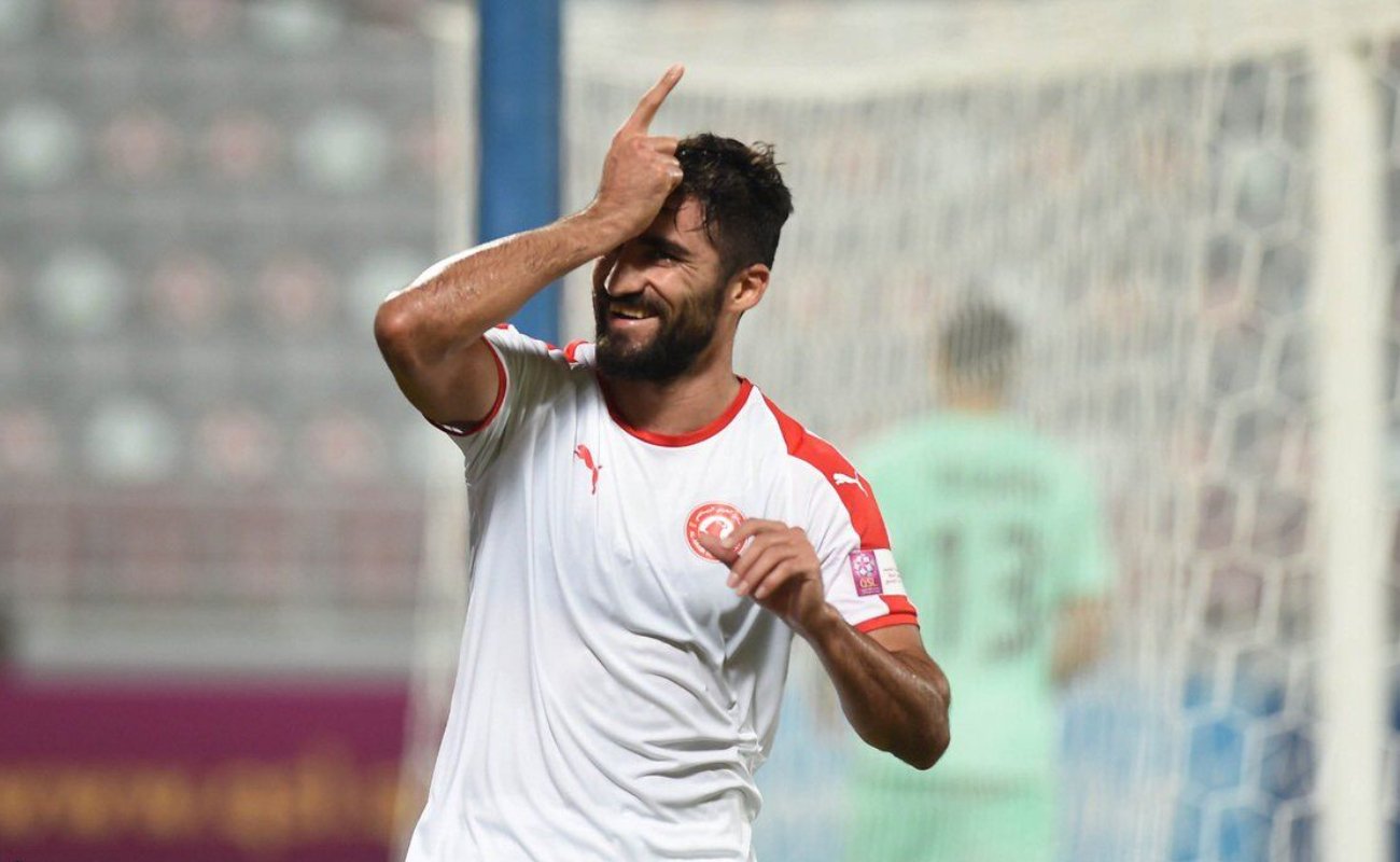 زندگی حرفه ای مهرداد محمدی