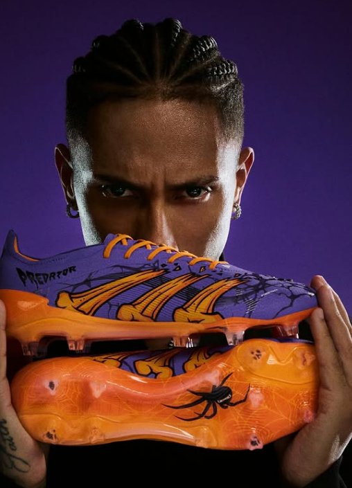 عکس های رافینیا