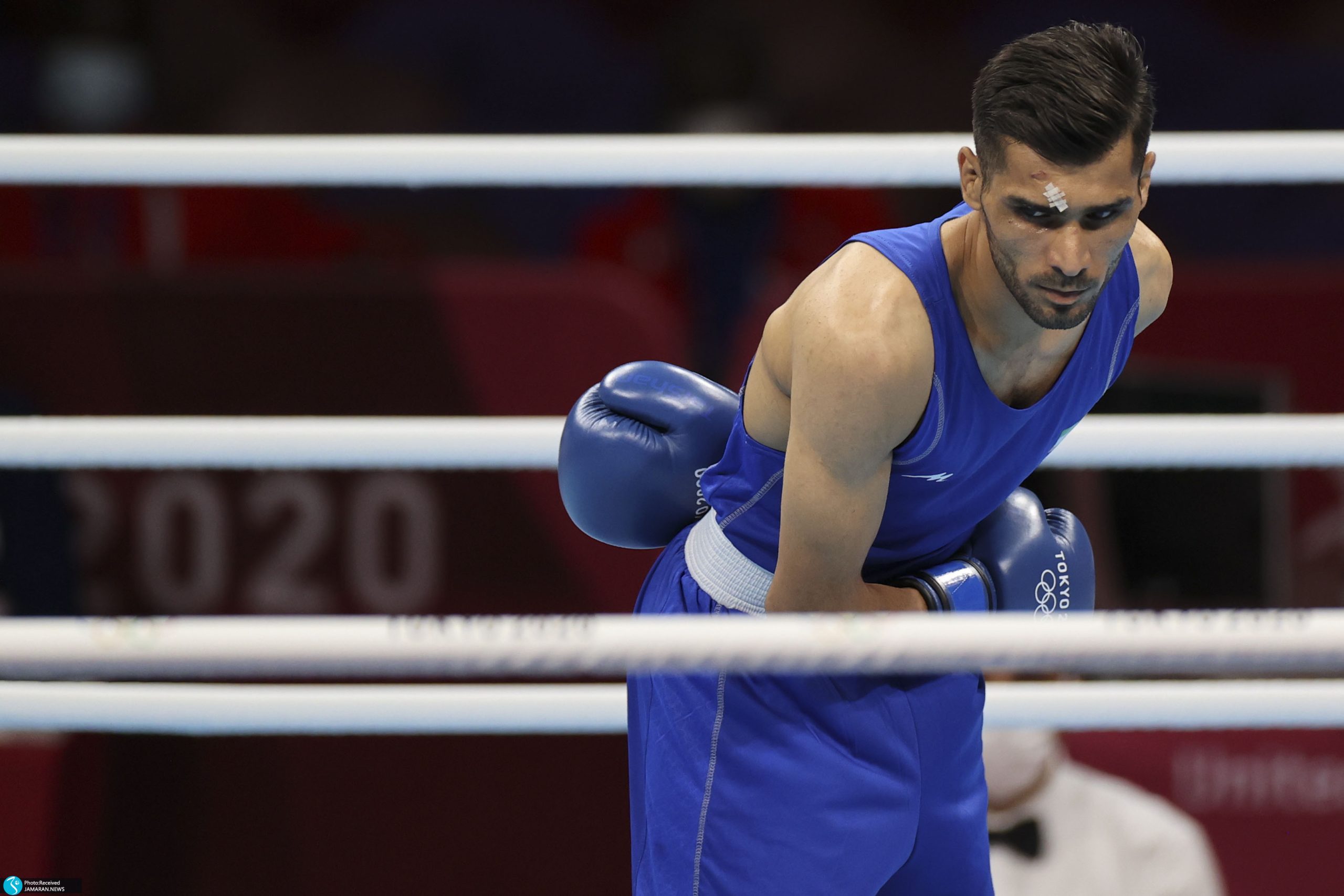 دانیال شه بخش دانیال شه بخش