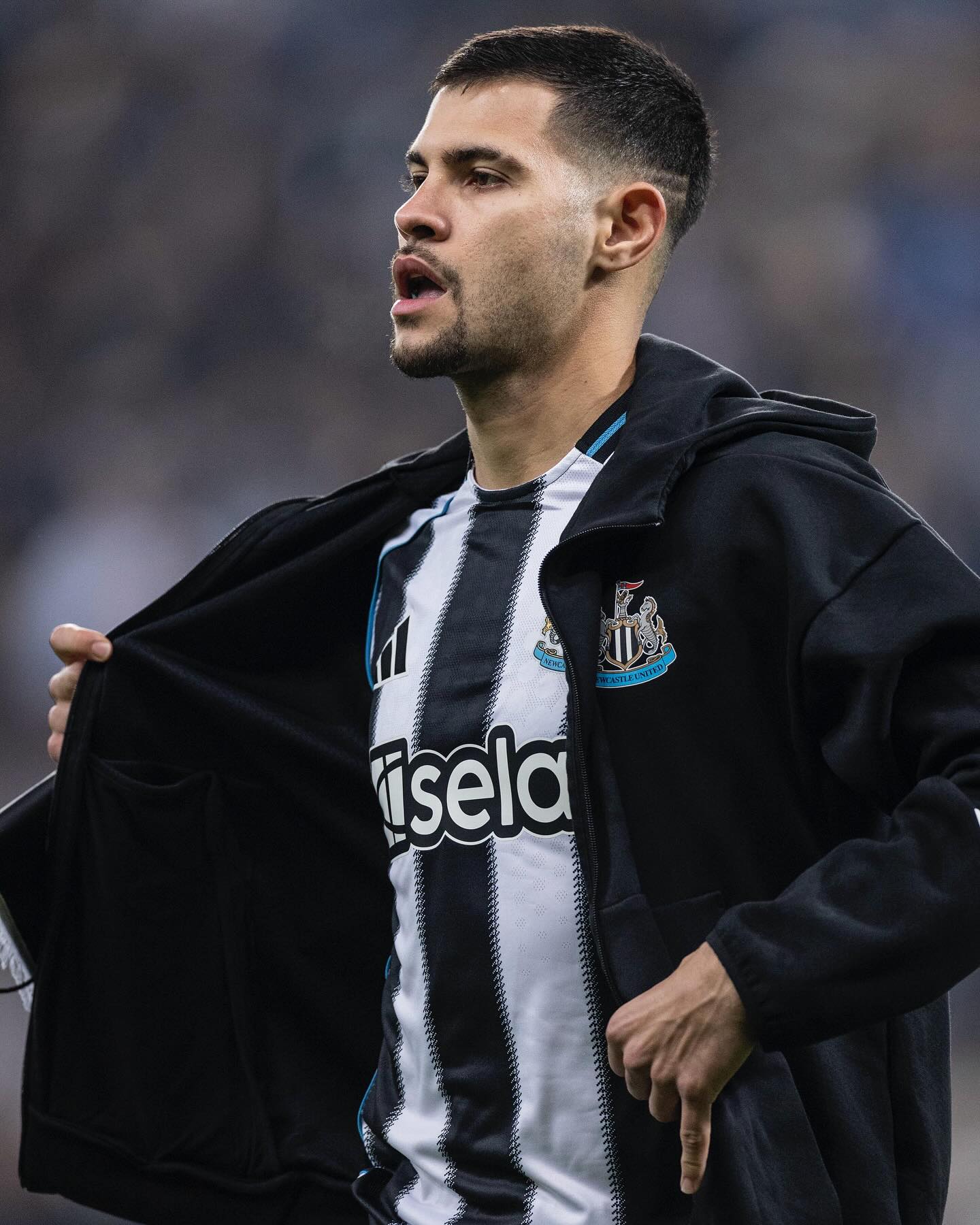 برونو گیمارش