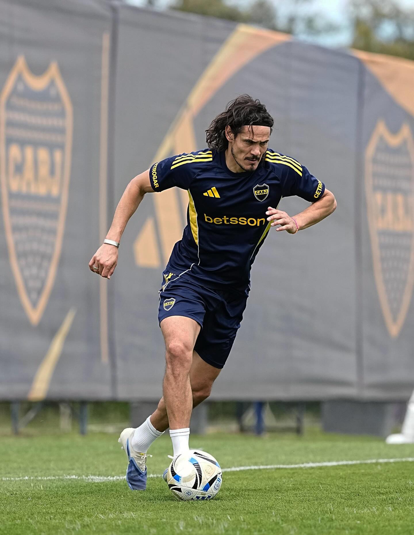 عکس های ادینسون کاوانی