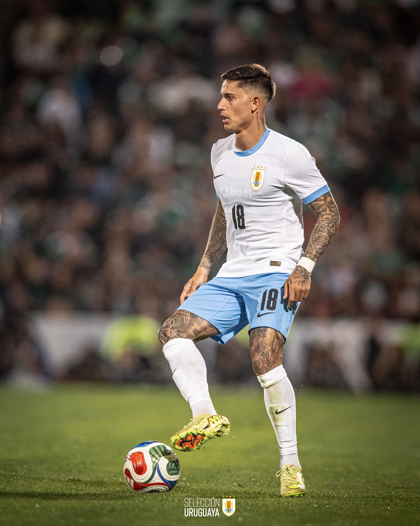 عکس های برایان رودریگز