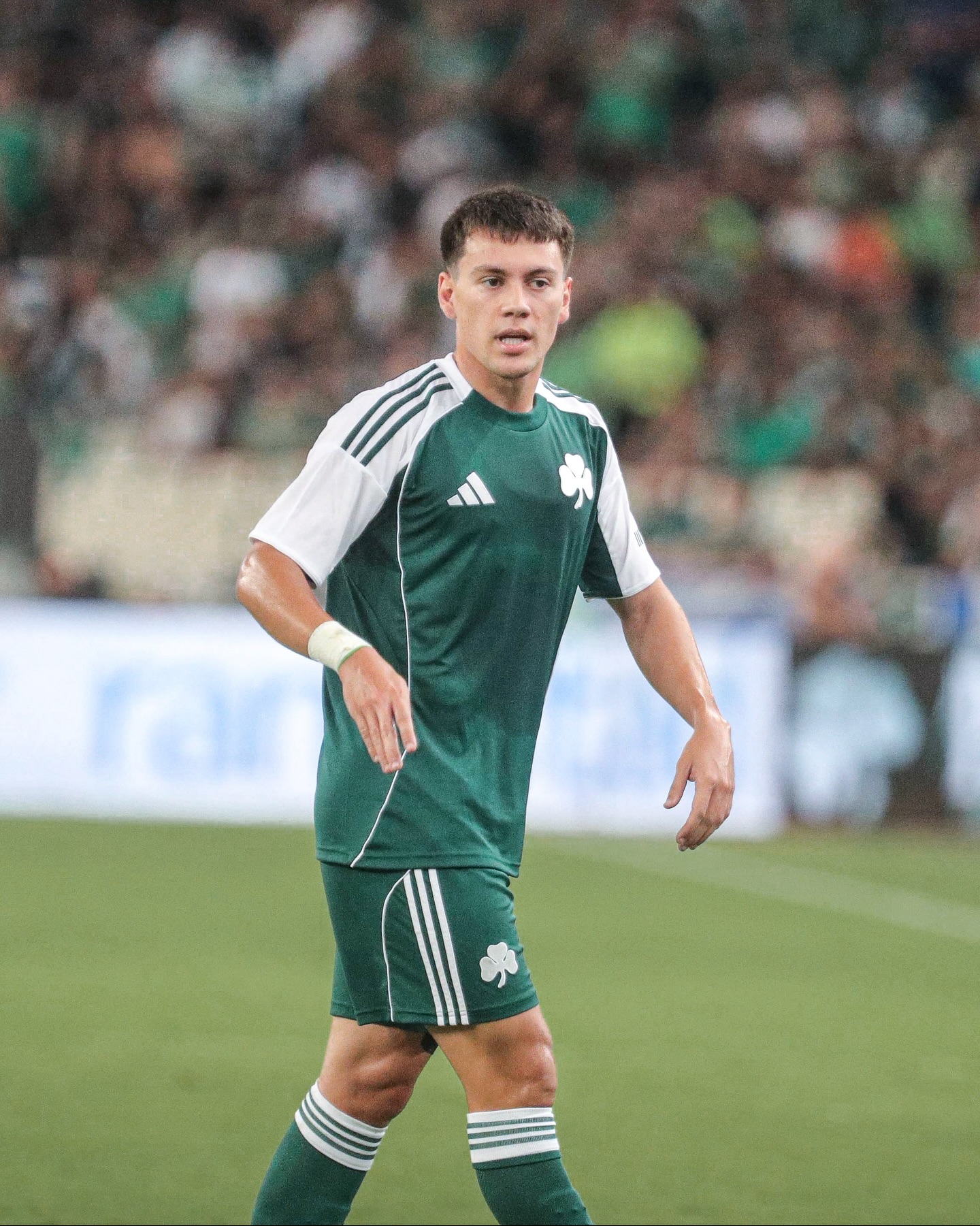 عکس های فاکوندو پلیستری